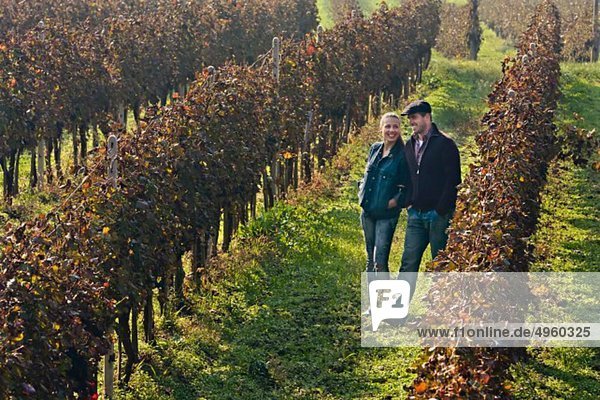 Croatia  Aljmas  Young couple in vineyard