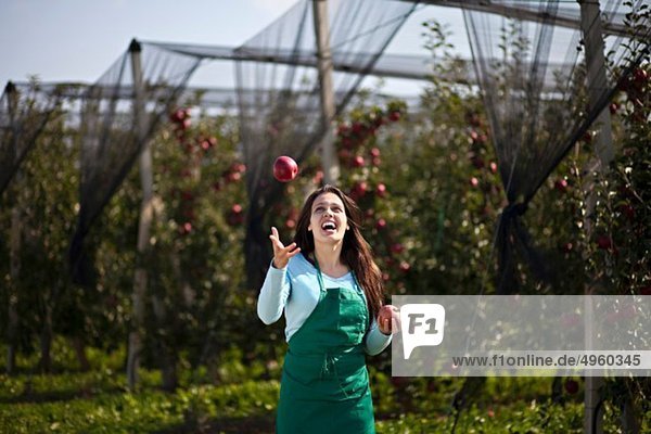 Kroatien  Baranja  Junge Frau jongliert mit Äpfeln im Apfelgarten