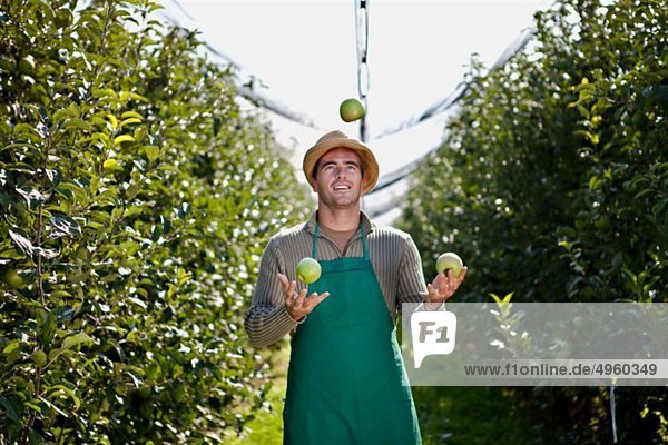 Croatia  Baranja  Young man juggling with apples in apple orchard