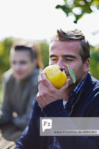 Kroatien  Baranja  Junger Mann und Frau bei der Apfelernte riechender Apfel