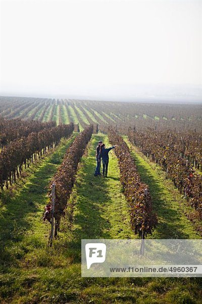 Croatia  Baranja  Young couple in vineyard
