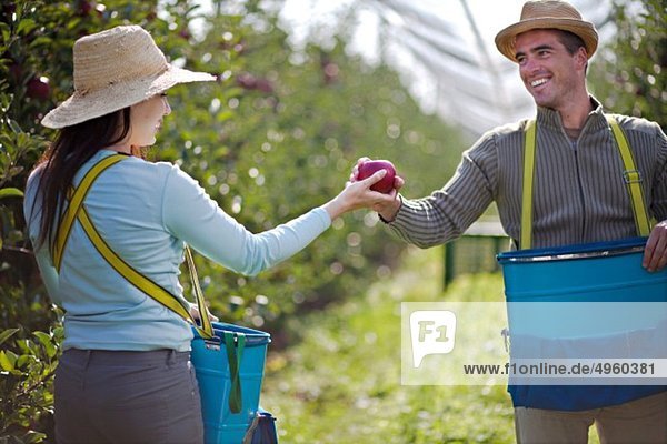 Kroatien  Baranja  Junges Paar hält Apfel  lächelnd