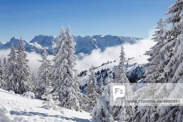 Deutschland  Bayern  Oberbayern  Garmisch-Partenkirchen  Blick auf schneebedeckten Wank mit Feuchtsteingebirge