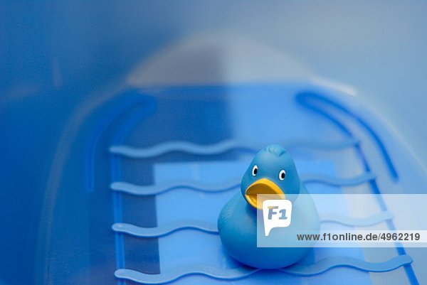 blau Gummi-Ente auf Badewanne