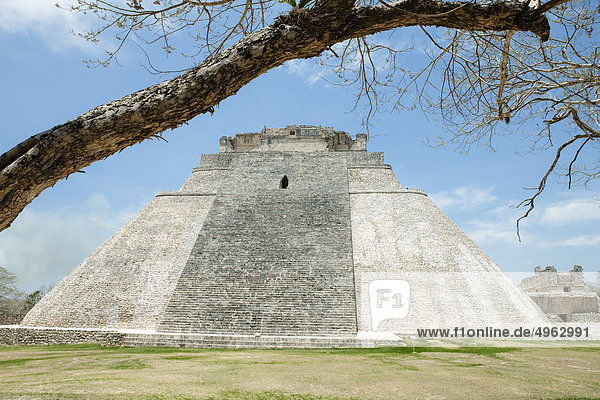 Mexiko  Yucatan Staat  Uxmal  Pyramide des Zauberers  Maya-Ruinen