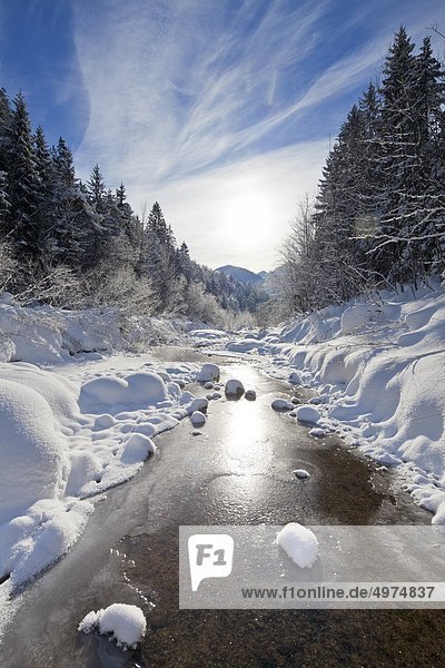 Brook in Flachgau in winter Salzburg State Austria