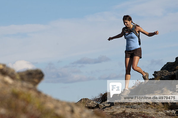 Eine weibliche Wanderer Wanderung entlang einer Ridgline am Mount Healy im Denali-Nationalpark und Schutzgebiet  Alaska Interior  Sommer