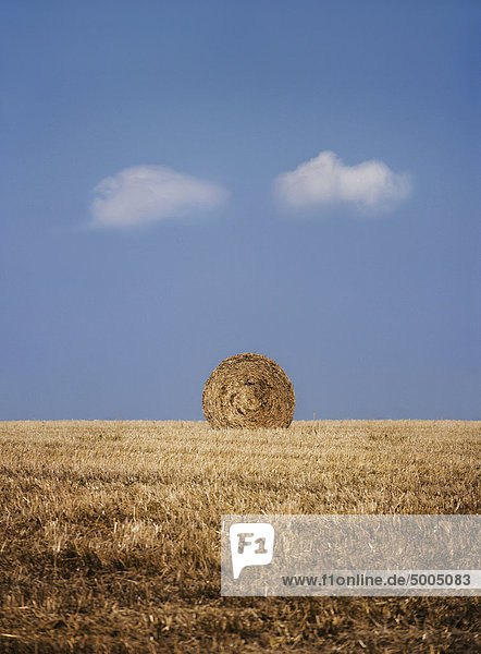 Ein Heuballen auf einem Feld