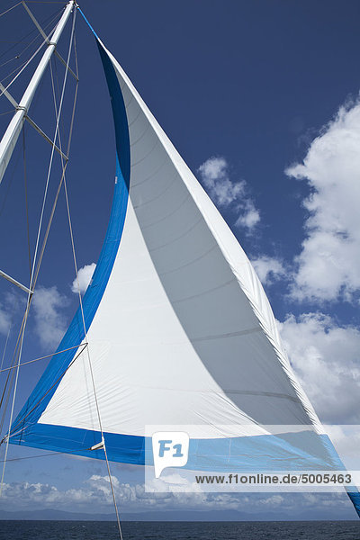 Sail and mast of a yacht