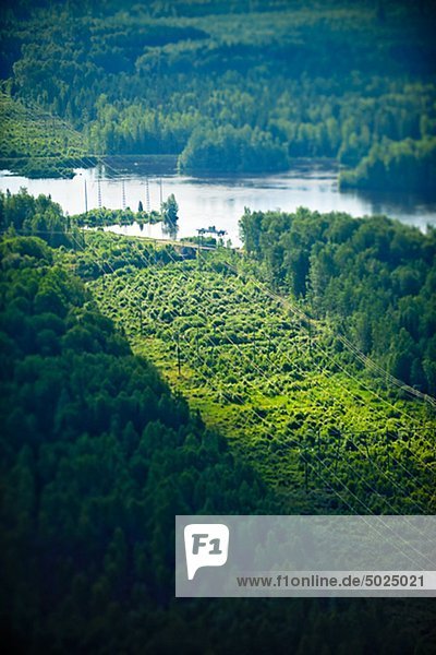 Ansicht des Flusses mit Wald