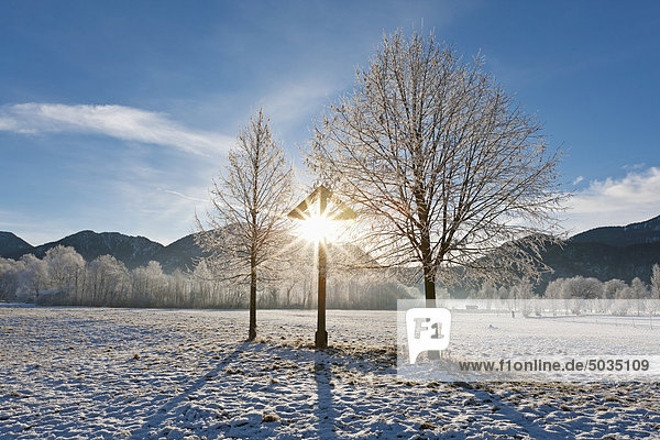 Deutschland  Bayern  Blick auf kahle Bäume mit Frost und Berg im bayerischen Voralpenland