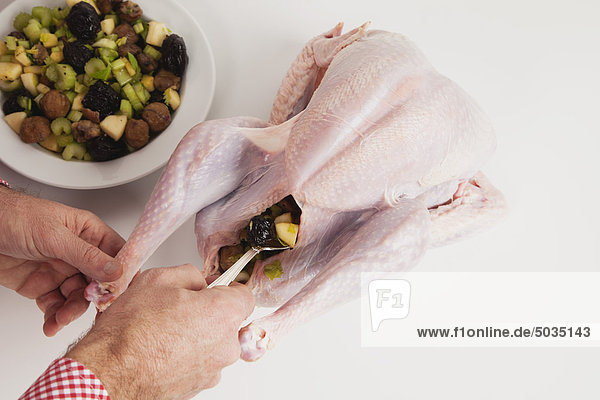 Man stuffing raw turkey with ingredients of celery  preserved plums  potatoes  chestnuts
