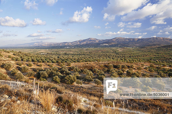 Griechenland  Kreta  Messara-Tal  Blick auf die Landschaft mit Büschen und Bergen im Hintergrund