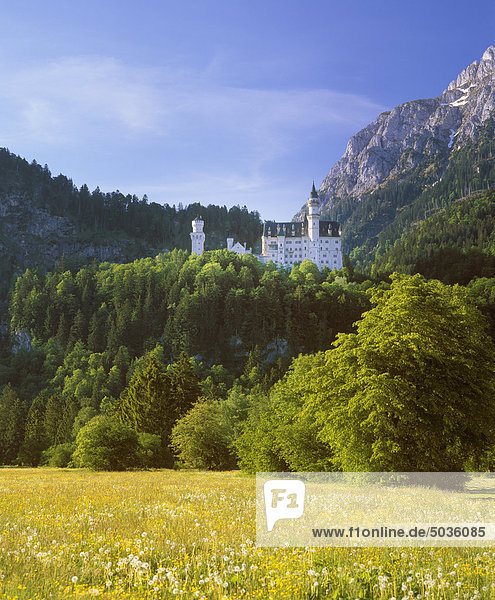 Deutschland  Bayern  Schwaben  Allgäu  Blick auf Schloss Neuschwanstein