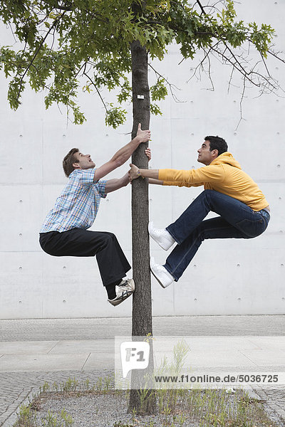 Two men climbing tree