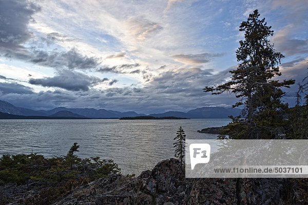 Der Blick Norden am Atlin Lake in Atlin Provincial Park  British Columbia  Kanada