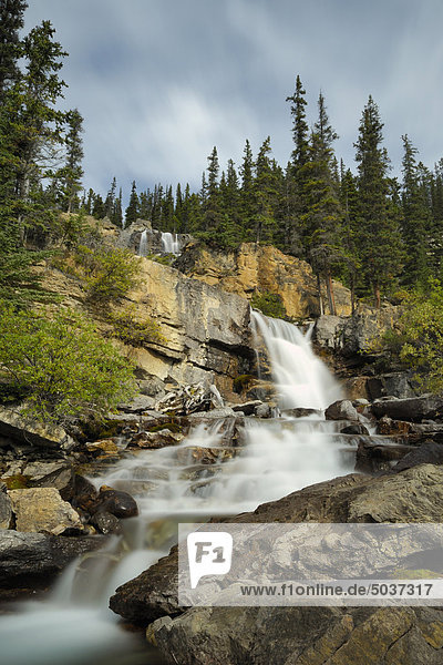 Tangle Falls entlang dem Icefields Parkway  Jasper-Nationalpark  Alberta  Kanada