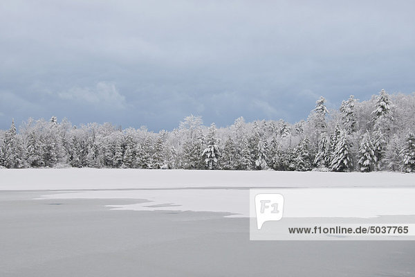 Winterszene mit einem Gewitterhimmel auf einem kleinen See  südöstliche Ontario  Kanada