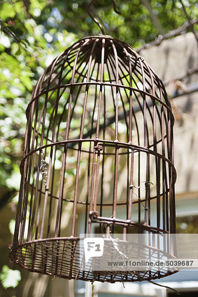 Close-up of a birdcage