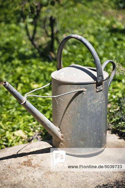 Watering can in garden