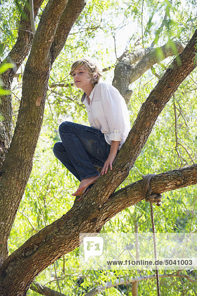 Low angle view of a boy crouching on tree branch