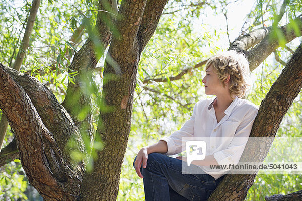 Contemplative little boy sitting on tree branch