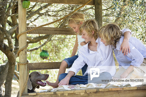Children looking at a dog from tree house