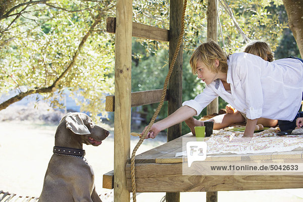 Boy feeding a dog from tree house