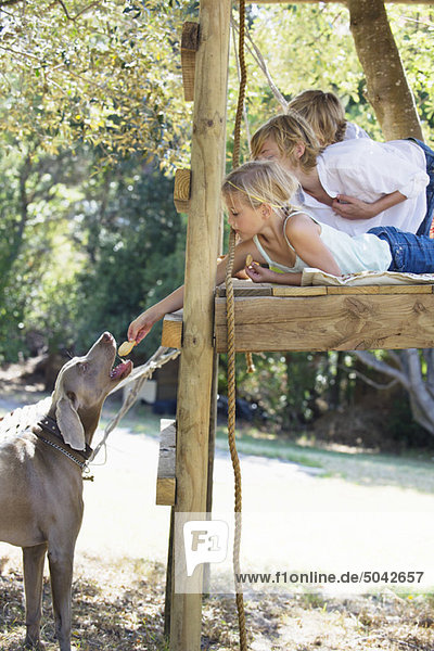 Children feeding a dog from tree house