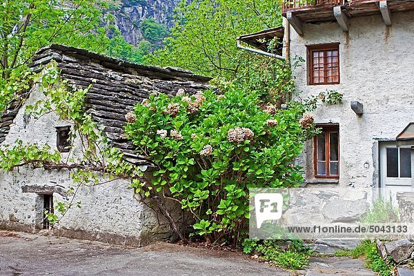 Valle Bavona - a wild valley in Ticino