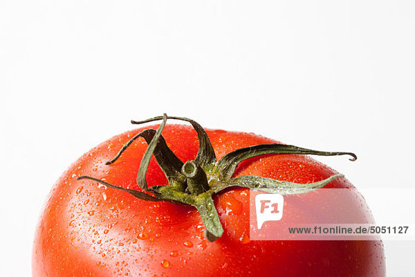 Tomate auf weißem Hintergrund