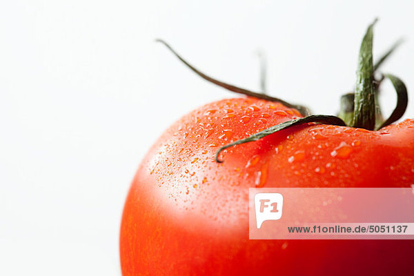 Tomate auf weißem Hintergrund
