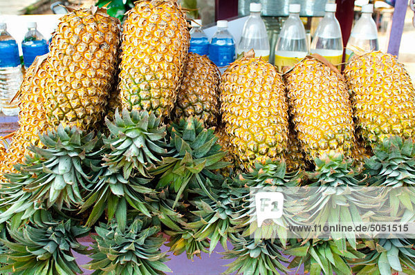 Ananas zu verkaufen  Fort Cochin  Kerala