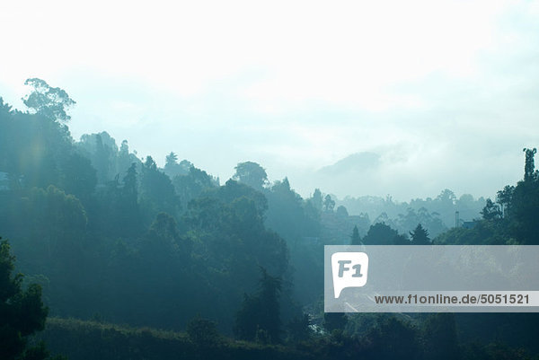 Morgen-Blick auf die Nilgiri-Hügel  Coonoor Hill station