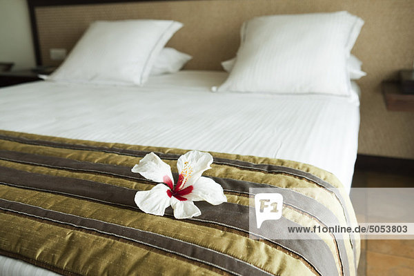 Weißer Hibiskusblütenkopf auf ordentlich gemachtem Bett im Hotelzimmer