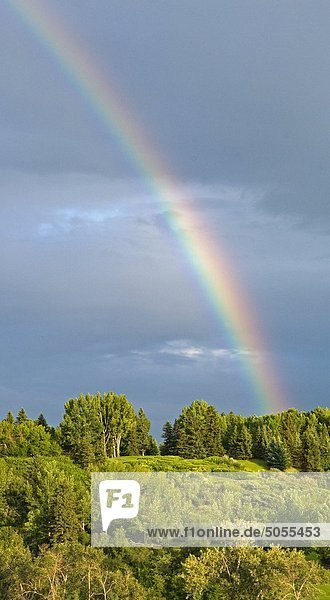 Regenbogen über Calgary  Alberta  Kanada