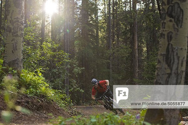 A mountain biker rides the highline trail in Canmore  AB