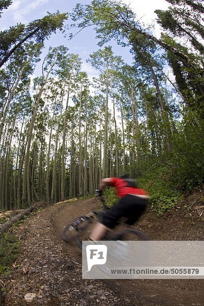 A mountain biker rides the highline trail in Canmore  AB