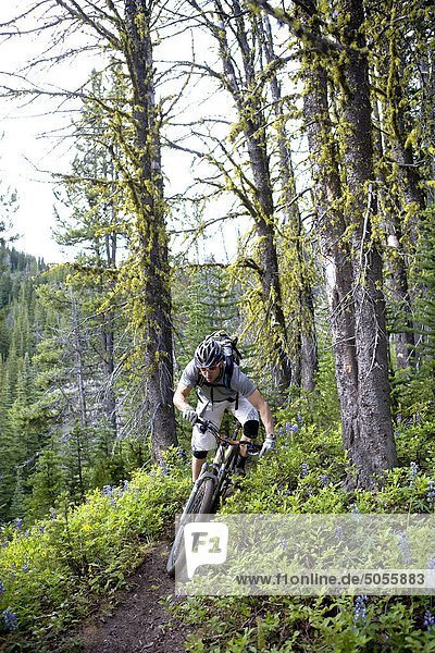 Chilco mountain biking Lick Creek Andreas Hestler