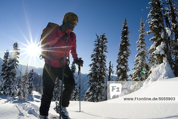 A young woman skier climbs up Corbin Pass near Revelstoke  British Columbia