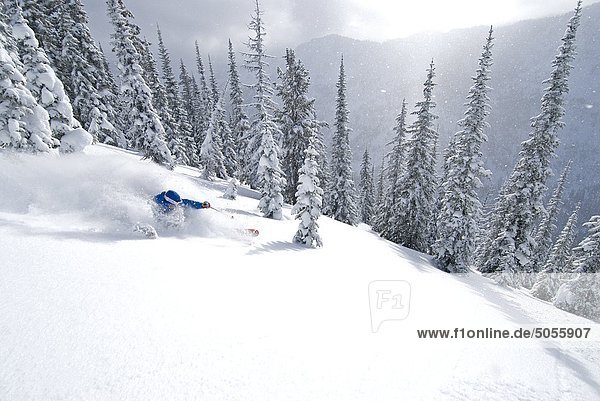 Ein Skifahrer steigt Hang in der Selkirk Mountains  Valhalla Powdercats  British Columbia