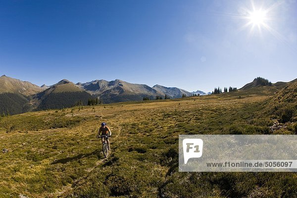 A mountain biker riding some single track in the Purcell Mountains  Golden  BC
