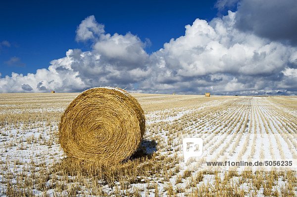 wheat straw roll  stubble and sky with clouds  near Hazenmore  Saskatchewan Canada