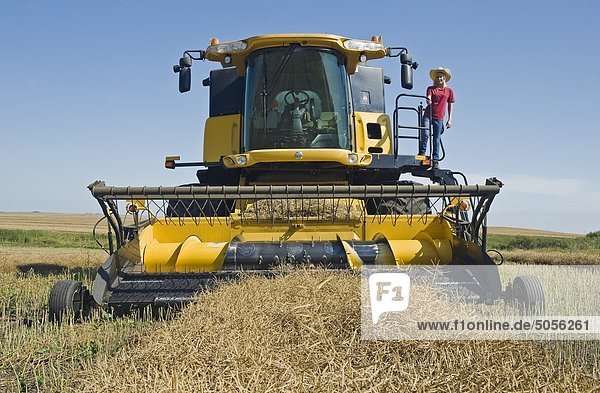 a teenage farm girl on the deck of a combine during the canola harvest  Tiger Hills  Manitoba  Canada