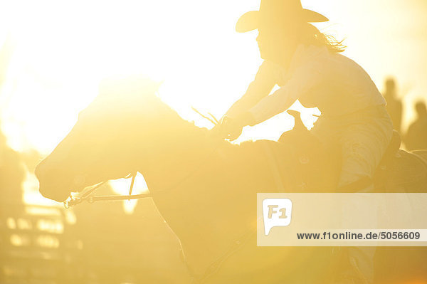 A silhouette of a rodeo rider competing in a barrel racing event under backlit sunny arena conditions.