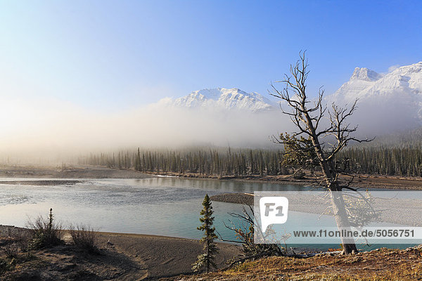 Whirlpool Morgen Nebel Fluss vorwärts zeigen Kanada Strudel Wasserwirbel Wirbel