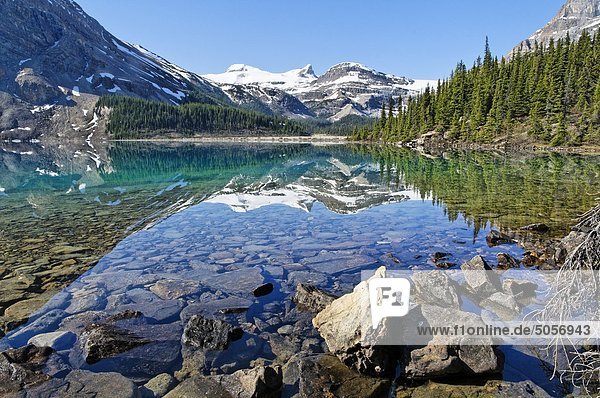 Bow Lake  Bow Glacier  Banff-Nationalpark  Alberta  Kanada