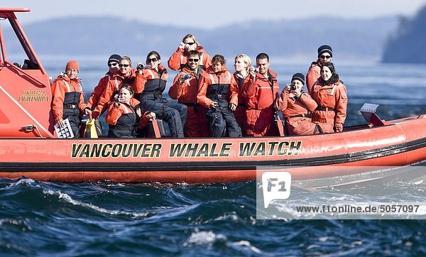 Wal-Beobachter,  Southern Gulf Islands,  British Columbia,  Kanada.