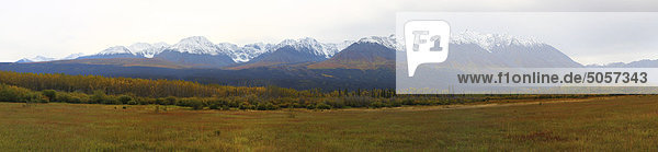Panoramische Ansicht der St. Elias Mountains im Herbst Farben in der Nähe von Haines Junction  Yukon.