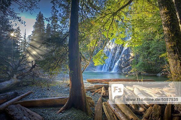 sehen Boden Fußboden Fußböden Baum Wald fließen Wandel Sonnenlicht Zimmer Geräusch UNESCO-Welterbe British Columbia Kanada Treibholz Vancouver Island Biosphärenreservat